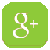 Google Plus